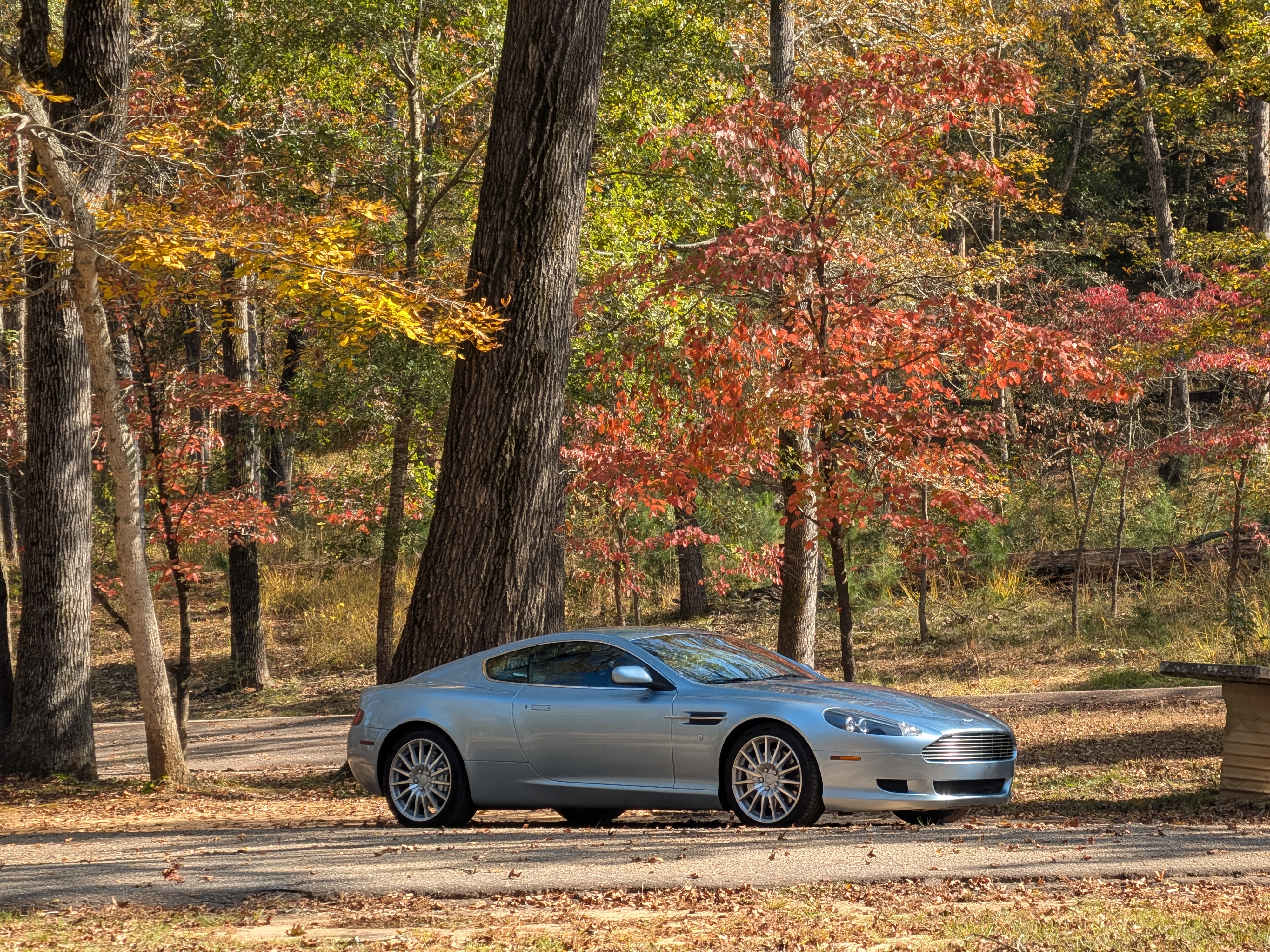 Silver luxury car in autumn forest